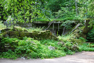 Die Ruinen der Wolfsschanze